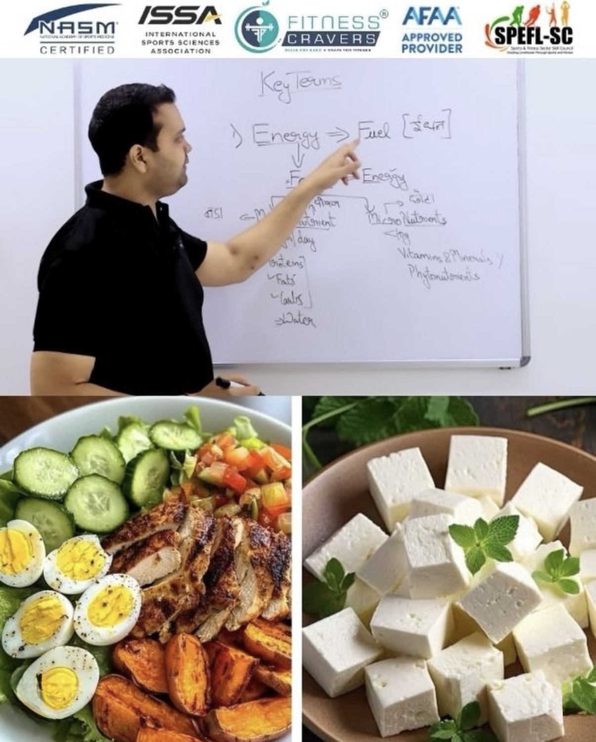  Sports Nutrition Certification | Fitness Cravers Academy