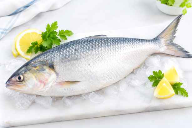  Enjoy Delicious Hilsa Fish for Traditional Recipes