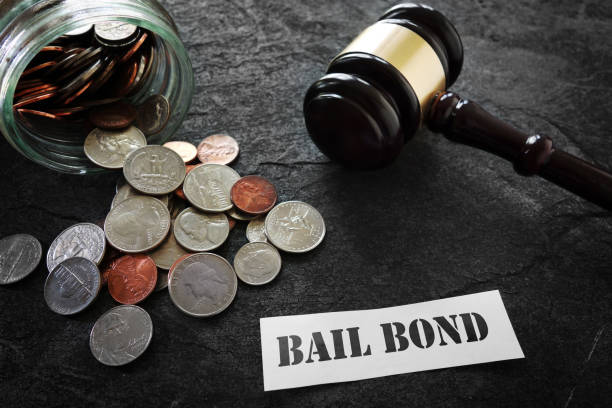  Hillsborough County Jail Bail Bonds in Tampa, FL