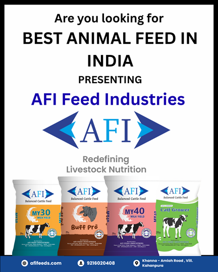  Best Animal Feed in India – AFI Feed Industries