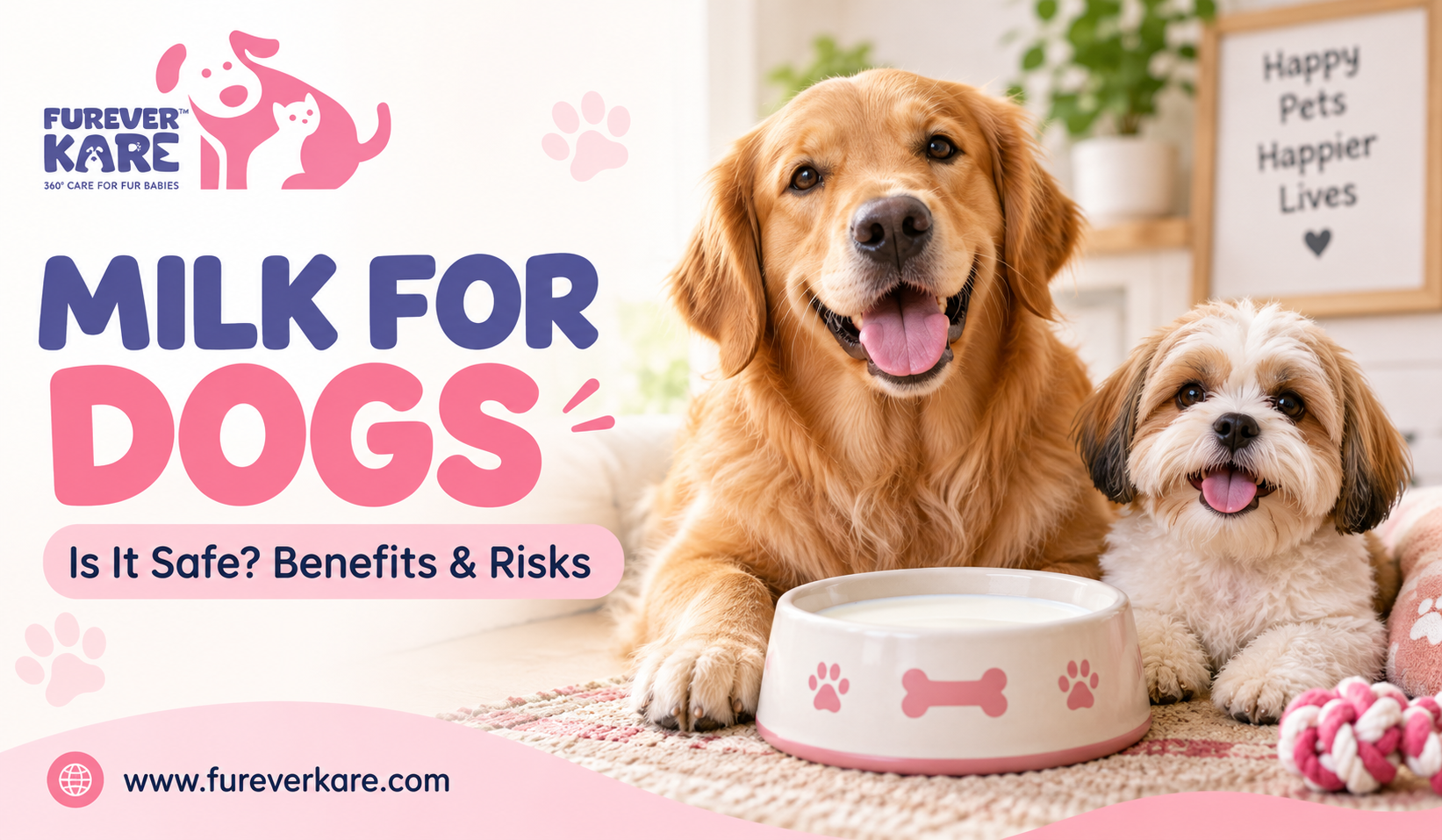  Milk for Dogs: Can Dogs Drink Milk Safely? | Furever Kare