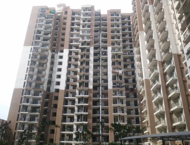  What is the monthly rent for a studio apartment in Noida