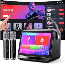  Professional Karaoke System for Powerful, Clear Sound