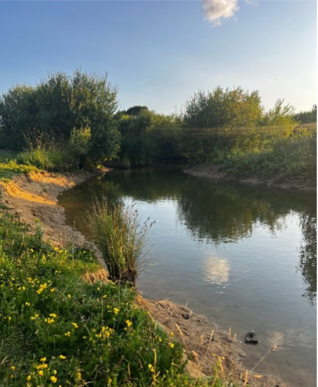  Biodiversity Net Gain Units in West Sussex