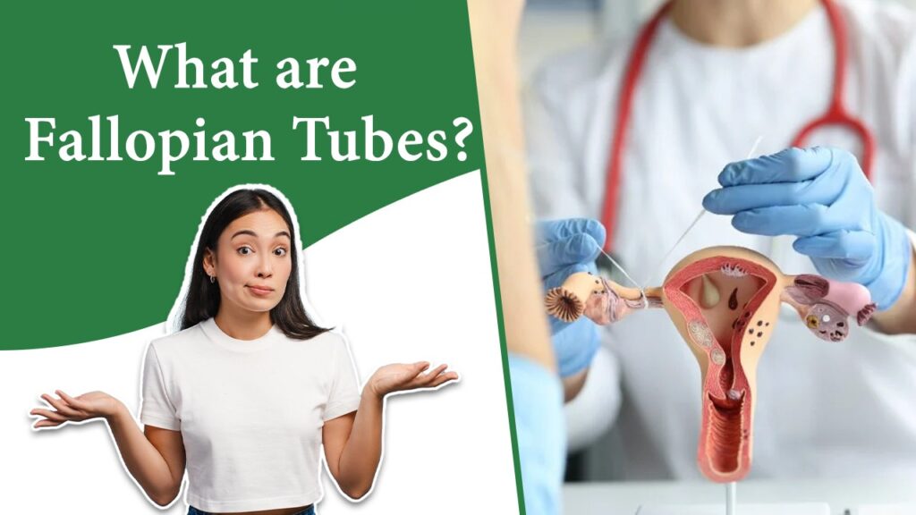  ayurvedic treatment for genital tb in delhi