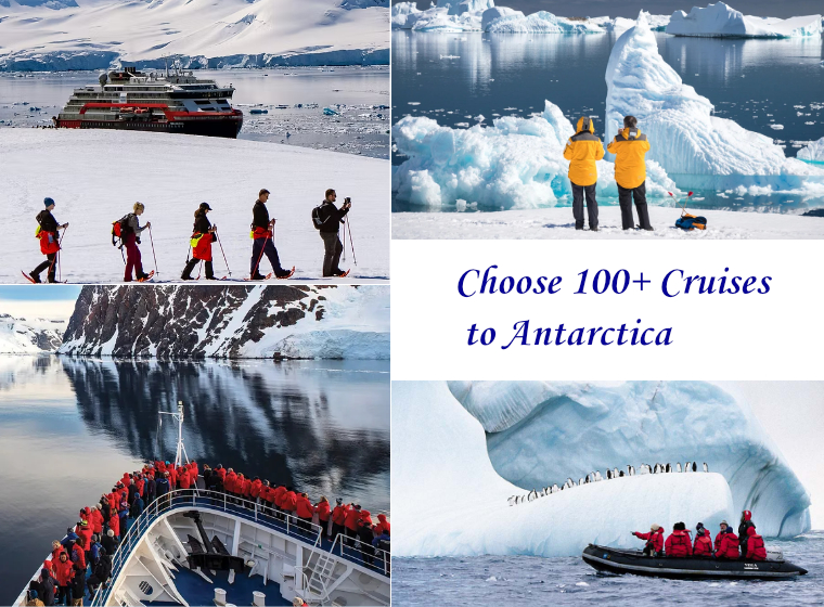  Cruise Icy Waters Past Glaciers & Icebergs – Explore