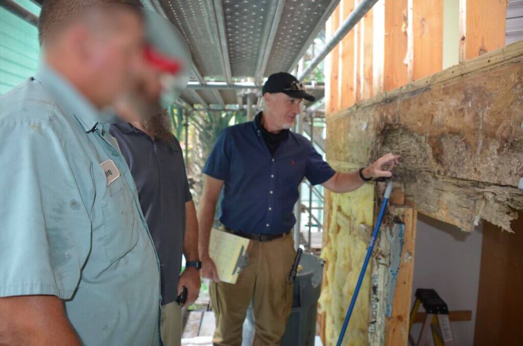  Understand Property Damage with a Professional Formosan Damage Consultant
