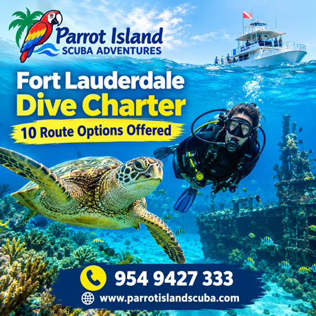  Fort Lauderdale Dive Charter: 10 Route Options Offered
