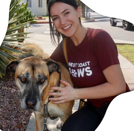  Local Dog Sitters in Long Beach CA | westcoastpaws