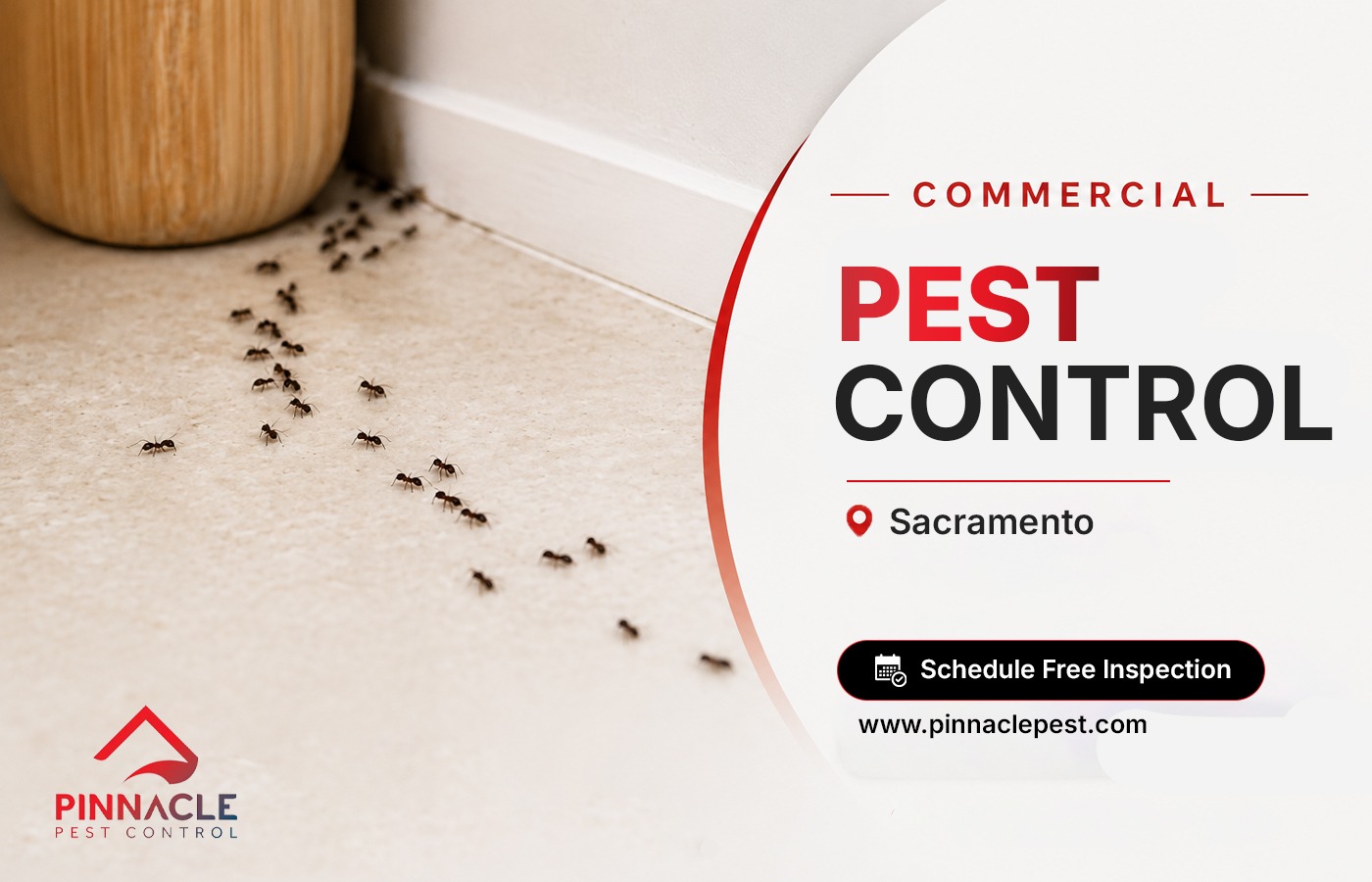  Professional Sacramento Commercial Pest Control & Prevention