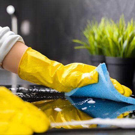  Home Cleaning Services San Luis Obispo CA