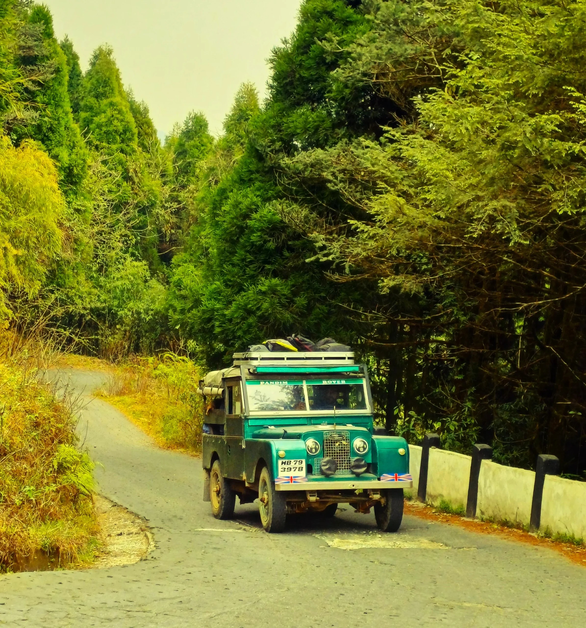  Sandakphu Package Tour From NJP for a Complete Mountain Trip