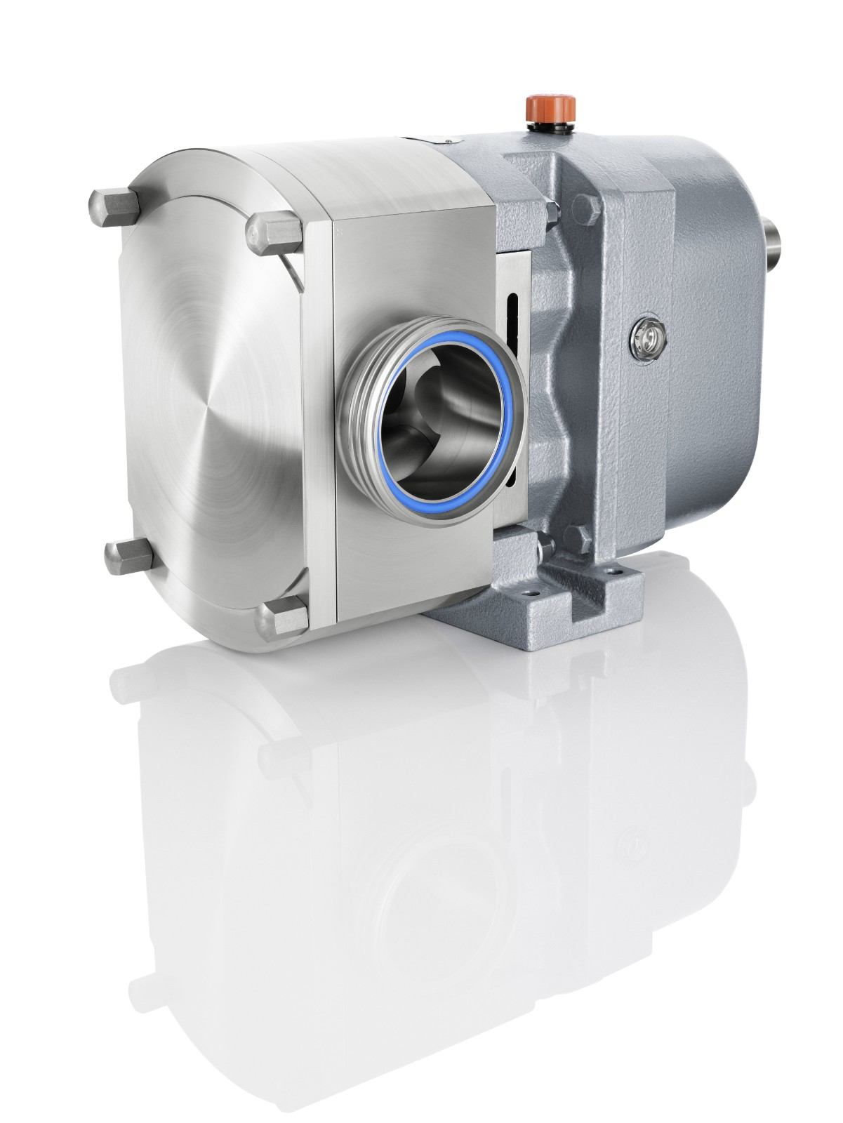  Enhancing Hot Ghee Transfer Using Fristam Lobe Pumps