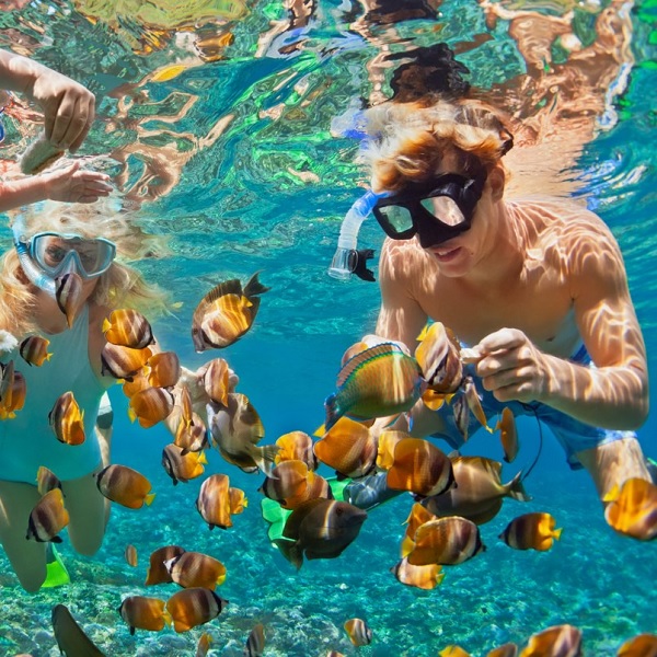  Snorkel Tours in La Paz: Discover the Sea of Cortez Beneath the Surface