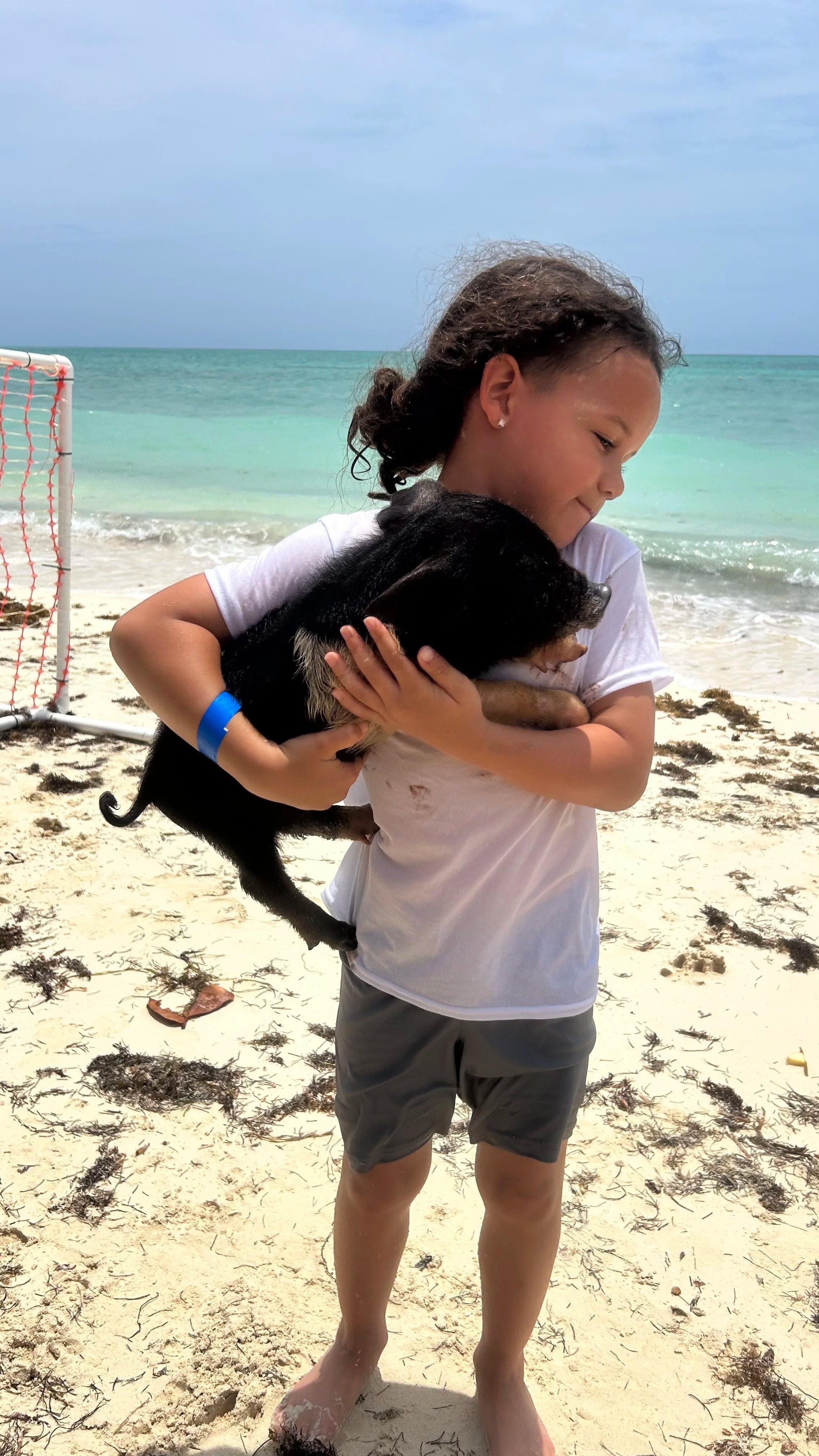  Explore Amazing Island Experiences with Creative Eco Adventures Freeport