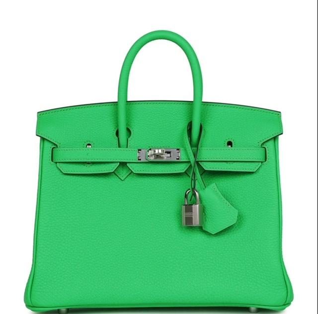  HERMES Birkin 25 Vert Comics
