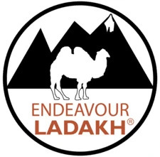  Endeavour Ladakh