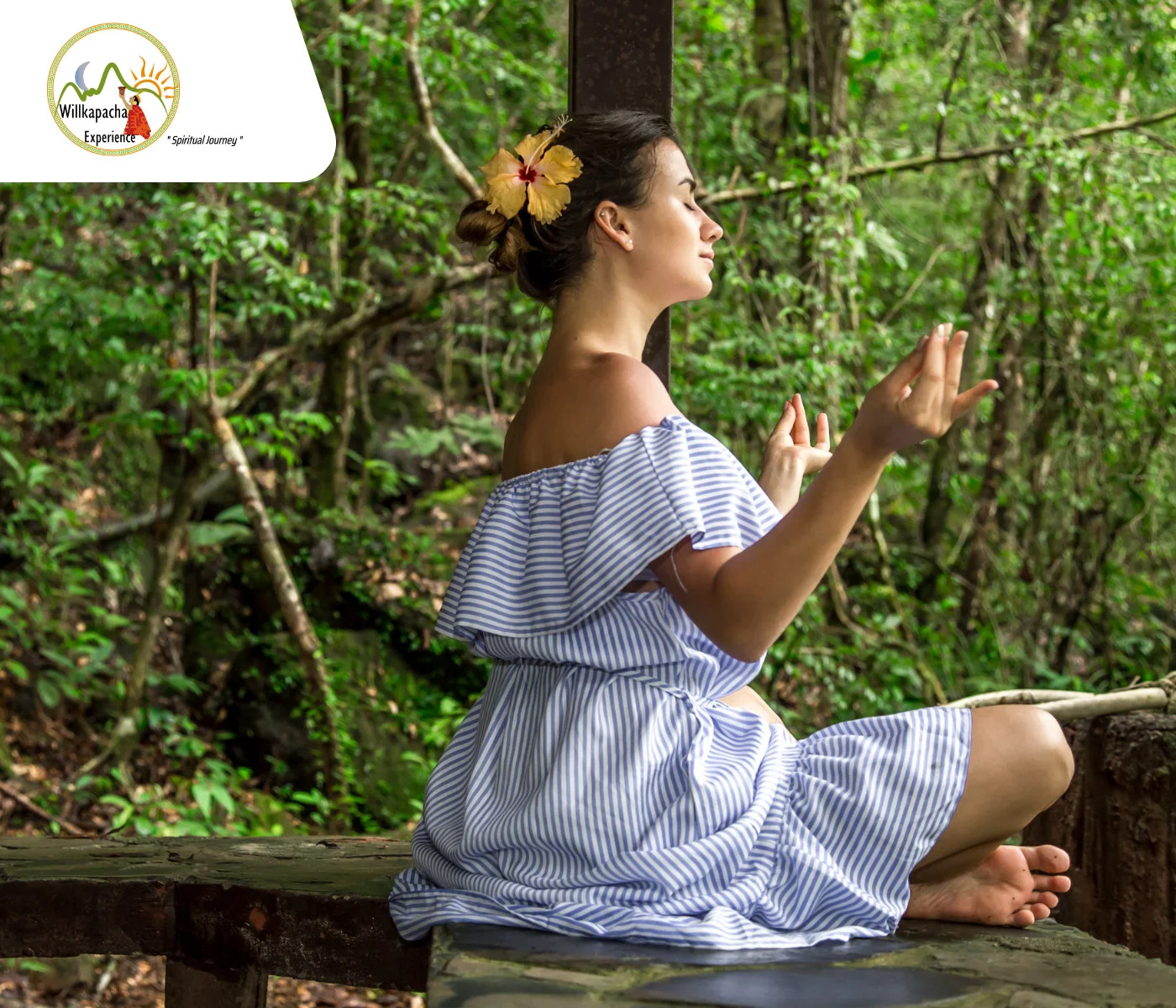 How Can You Choose the Best Ayahuasca Retreats?
