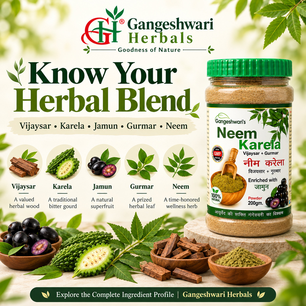  Looking for a Multi-Herb Vijaysar Powder? See This Ayurvedic Blend
