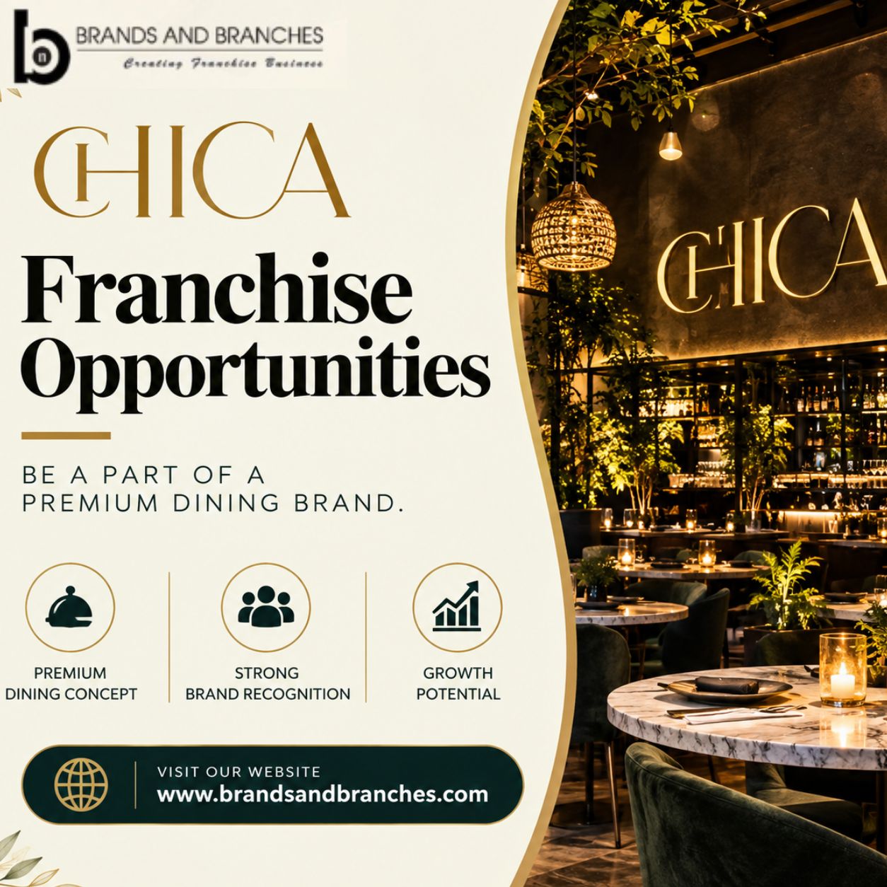  Chica Franchise Opportunities