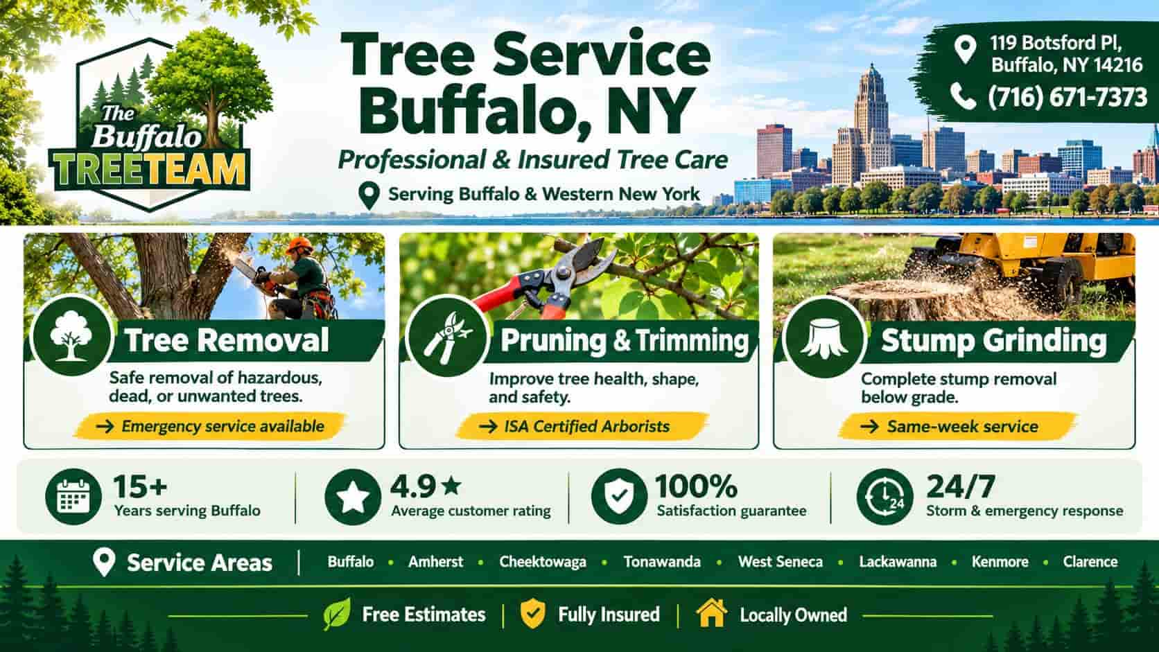  Professional Tree Removal Buffalo NY for Homes & Properties