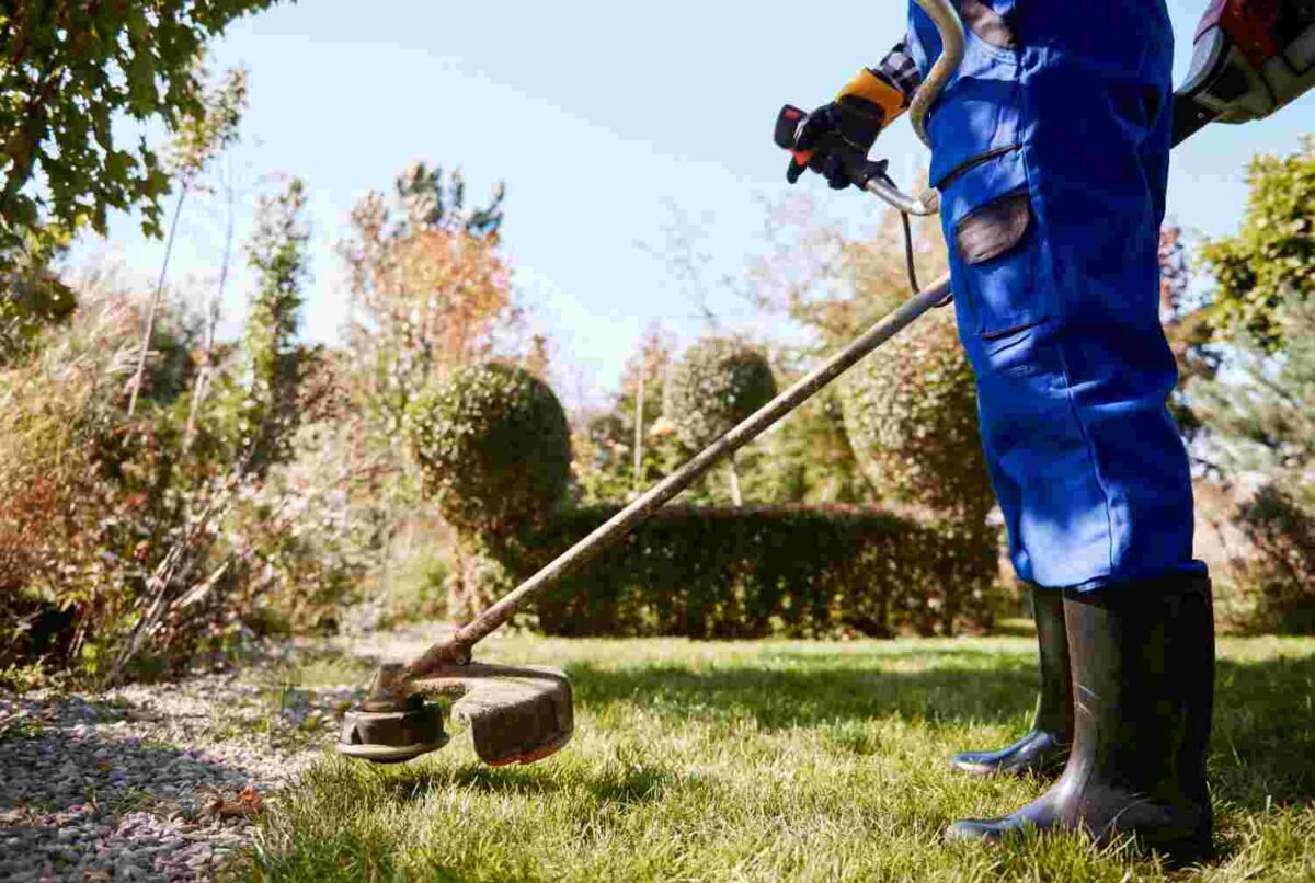  Reliable Lawn Care and Mowing Services in Parker County | Grasseaters, Inc