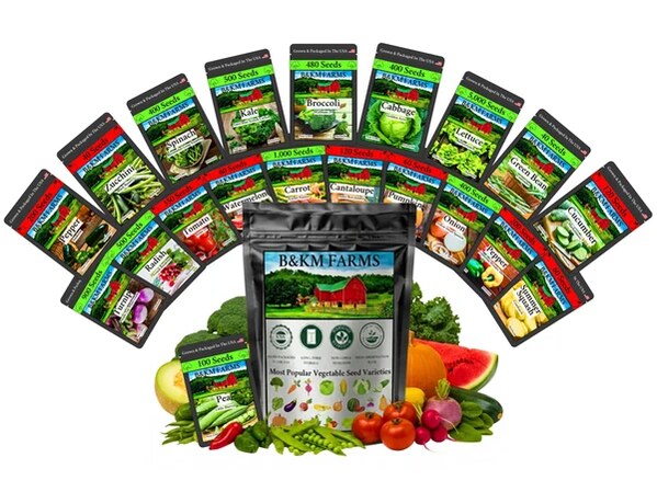  Best Heirloom Vegetable Seeds for Raised Beds and Backyard Gardens – B&KM Farms