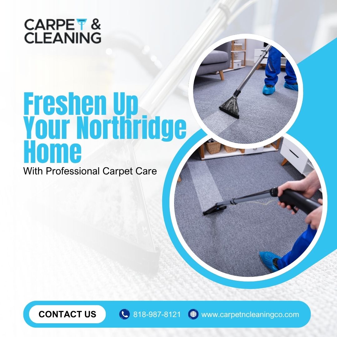  Freshen Up Your Northridge Home With Professional Carpet Care