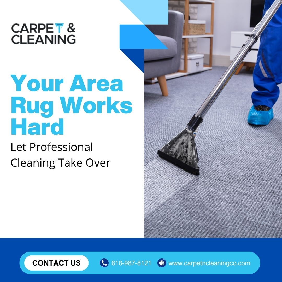  Your Area Rug Works Hard—Let Professional Cleaning Take Over