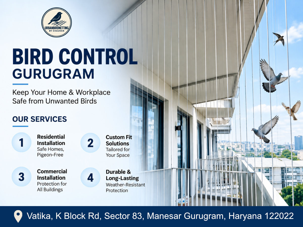  Bird Control in Gurugram for Homes