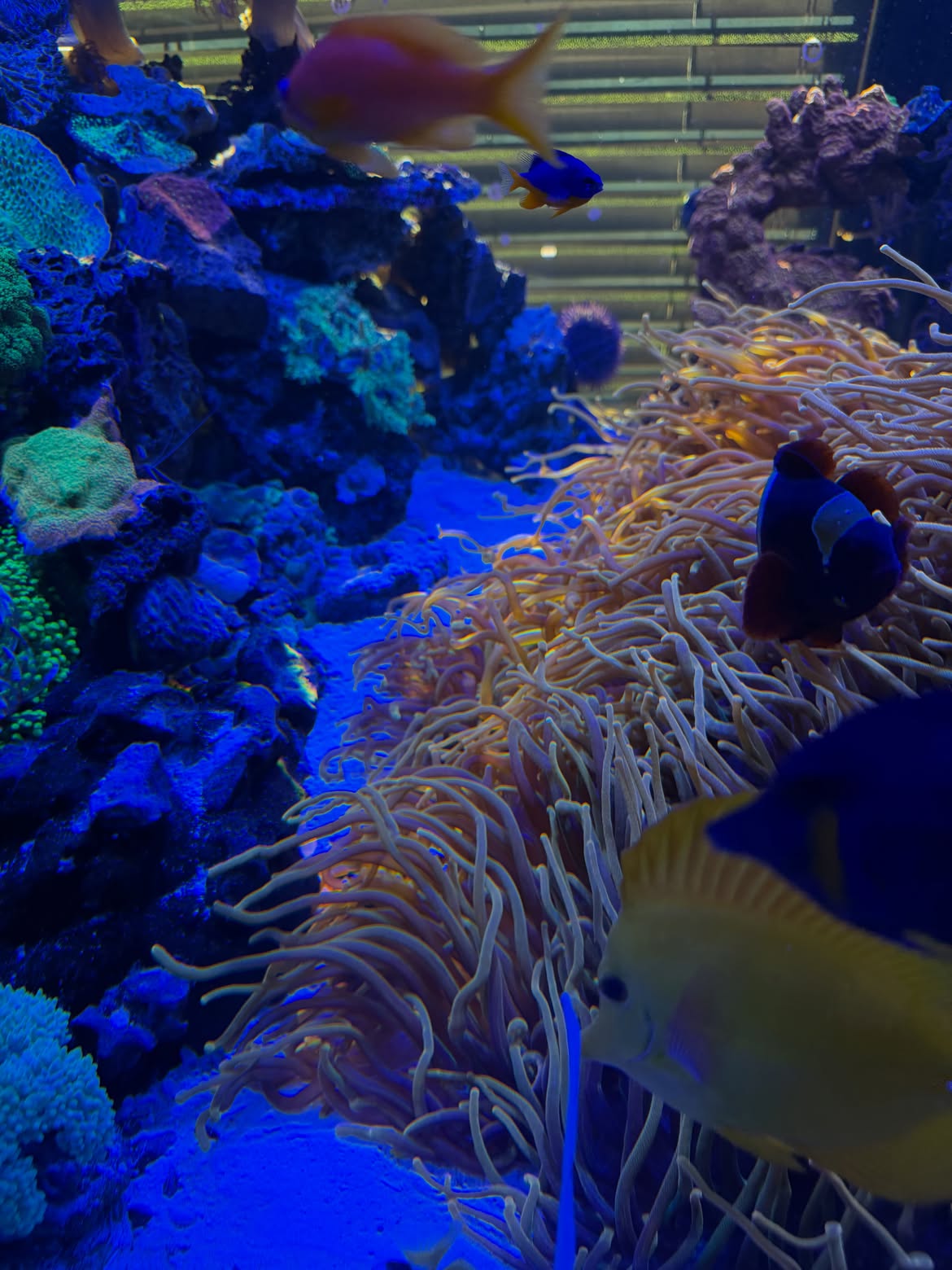  Does Your Aquarium Need a Redesign?