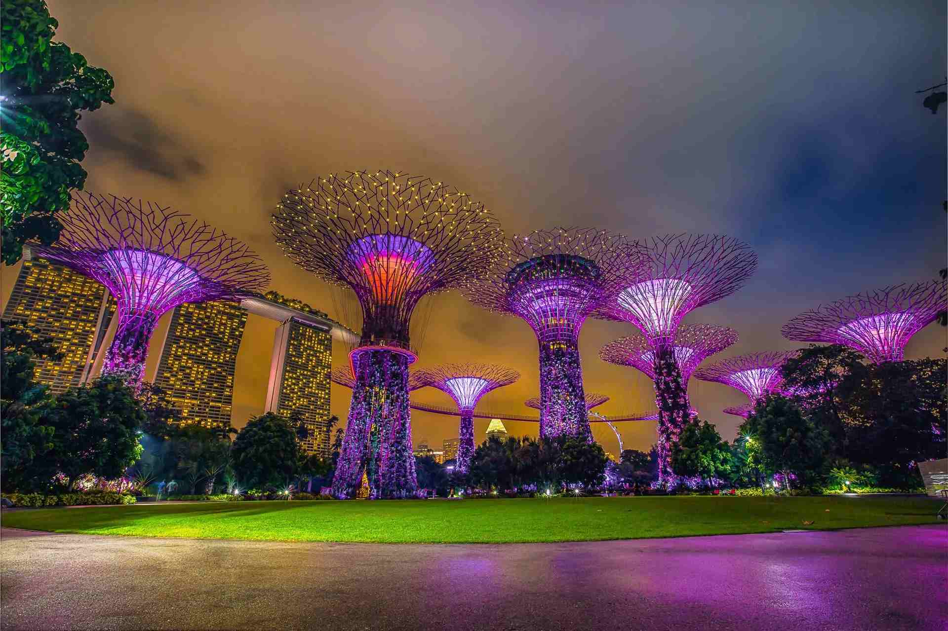  Singapore Holidays Package: Experience a Modern Asian Escape