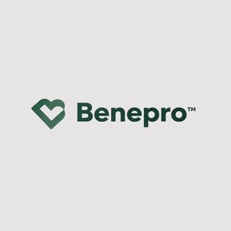  BENEPRO The Benefit Professionals Brooklyn NY