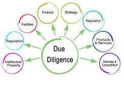  due diligence company