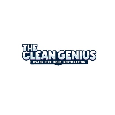  The Clean Genius