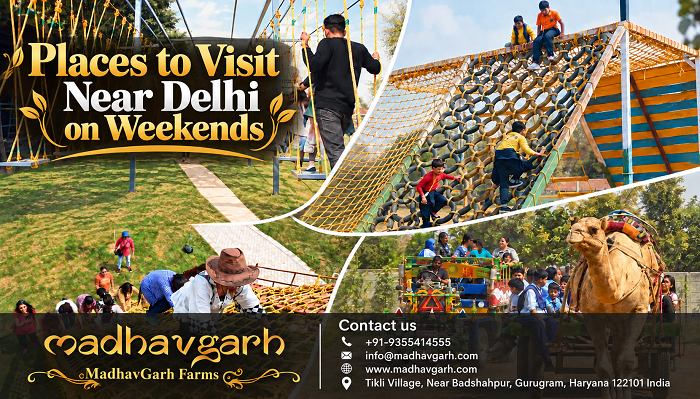  Weekend Trips from Delhi – Plan a Day