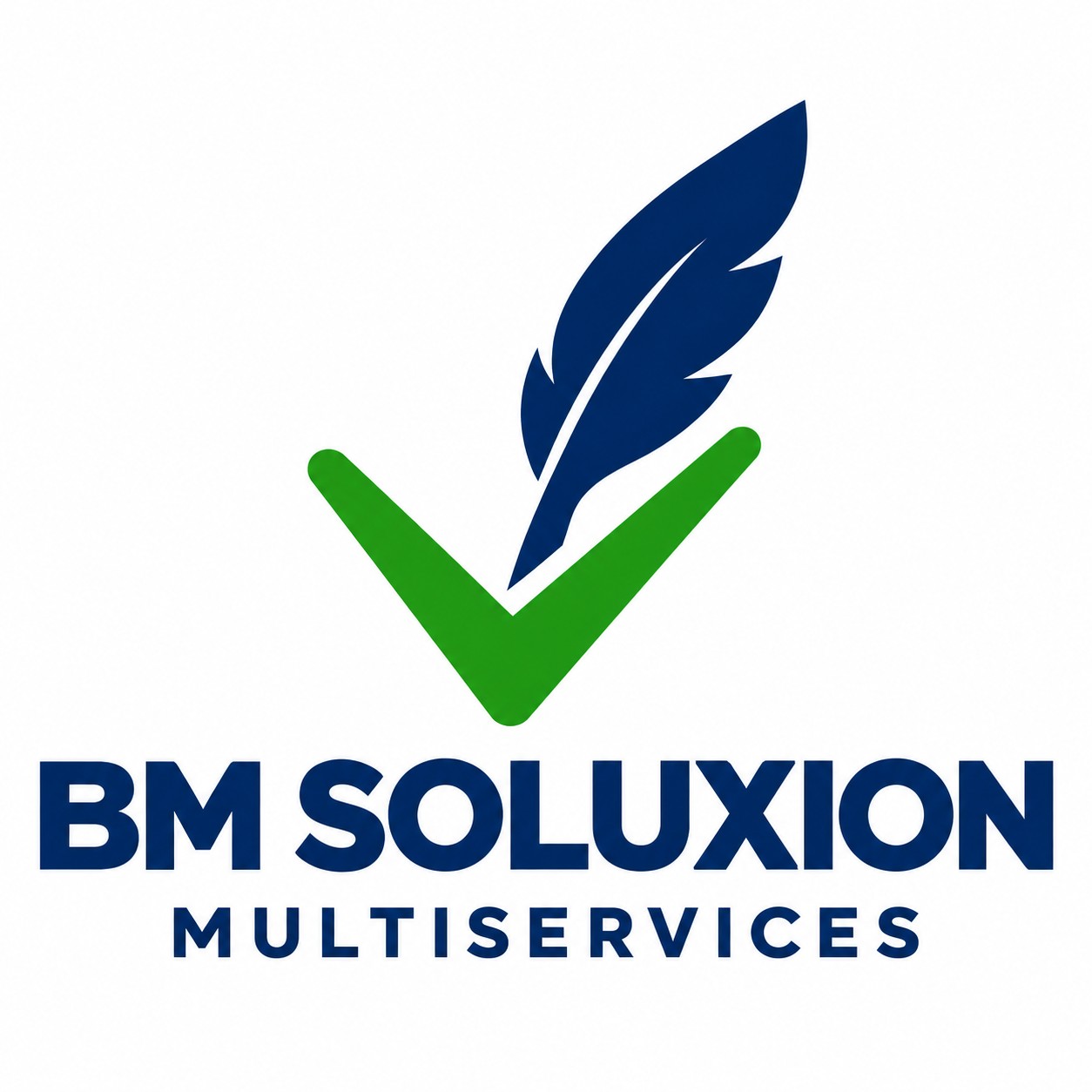  BM SOLUXION