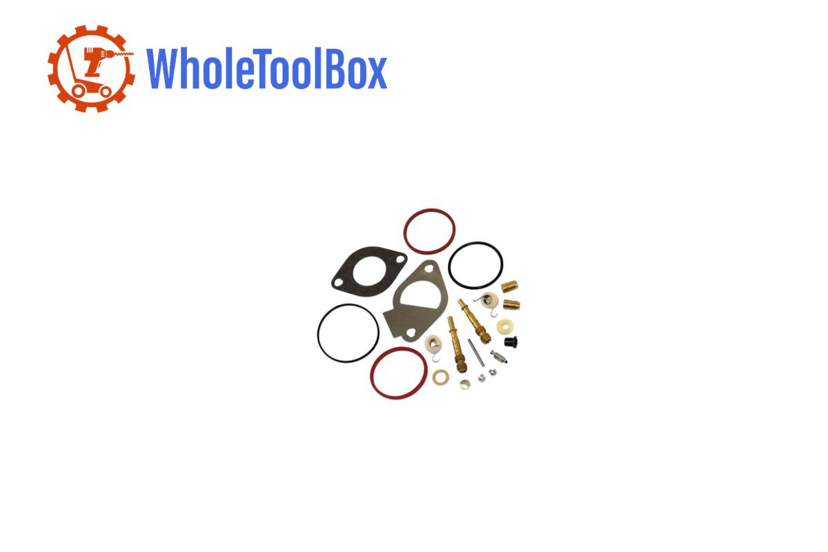  Briggs & Stratton 796185 Engine Carburetor Overhaul Kit