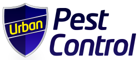  Emergency Pest Control Bournemouth: Urban Pest Control