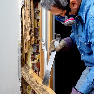  Trusted Technical Support For pest control expert witness