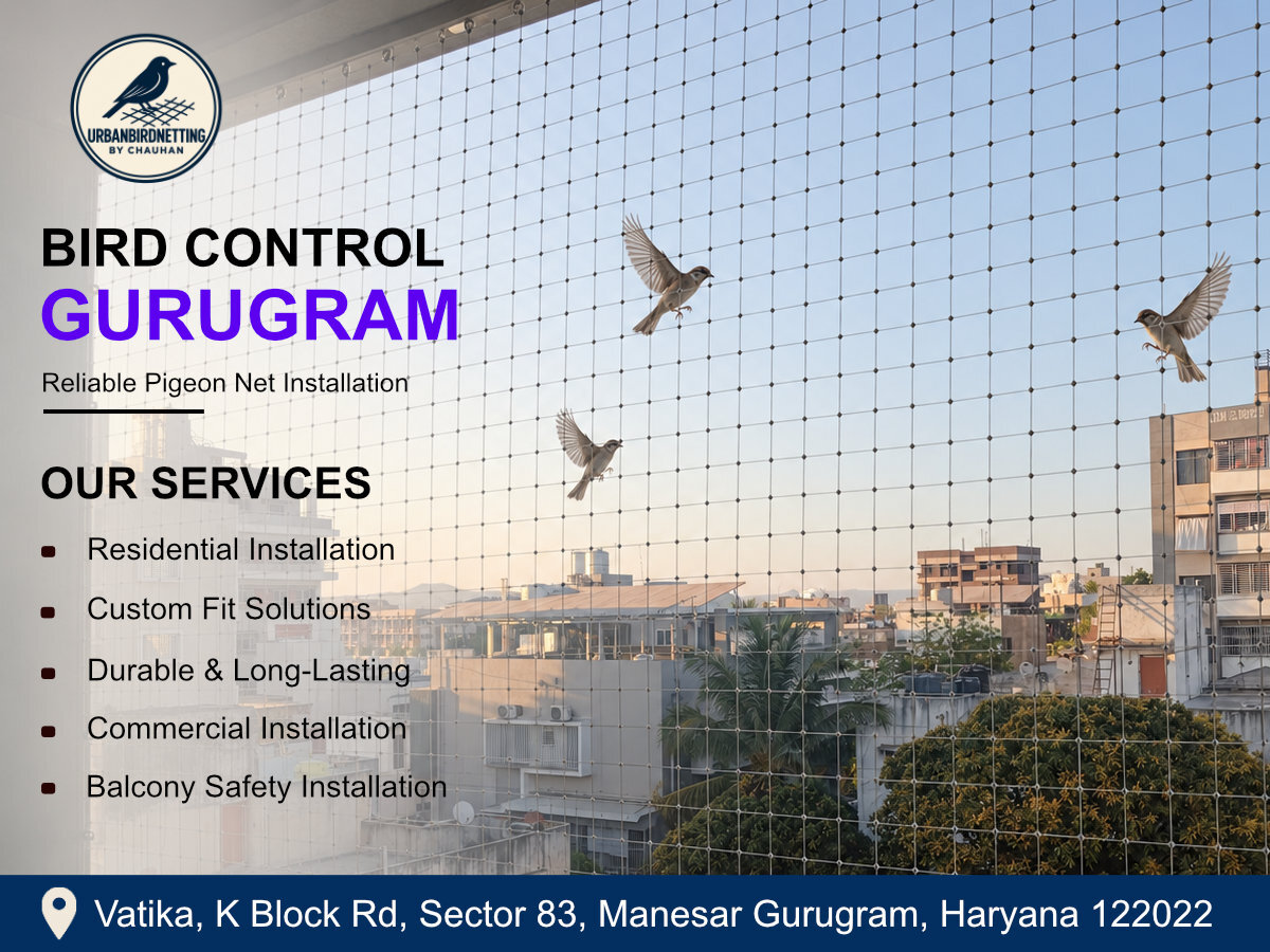  Bird Control Service Gurugram