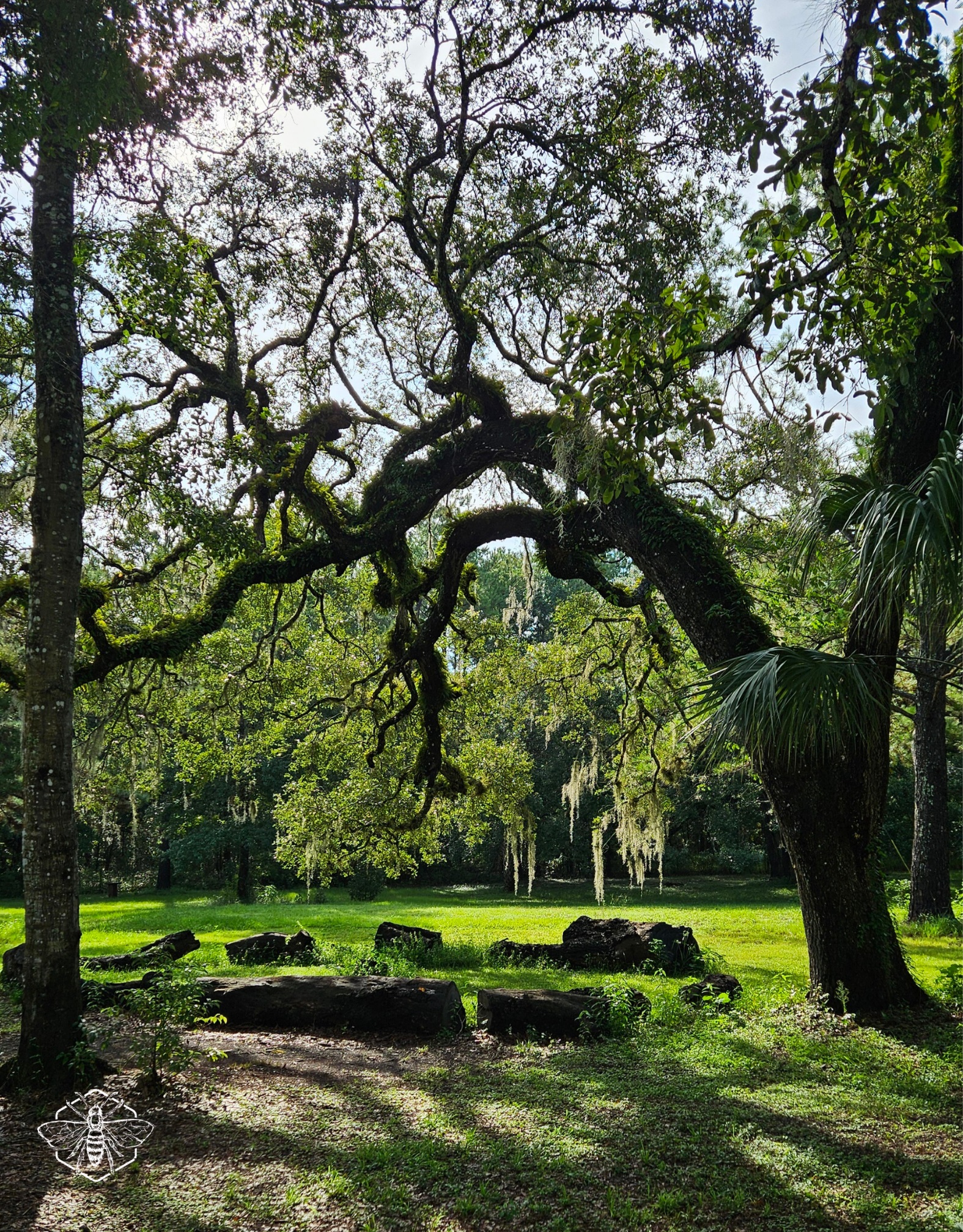  Campgrounds in Brooksville, Florida – Unique Camping Experience at Honey Bee Ranch
