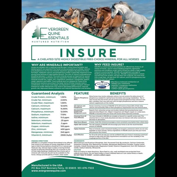  Best Bone Supplement for Horses | Chelated 12-12 Mineral - EverGreen Equine