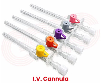  IV Cannula for Safe & Efficient Intravenous Therapy | GSTC