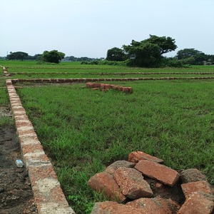  Premium Residential Plots for Sale in Bentapur, Bhubaneswar – ₹1,250 per Sq. Ft.