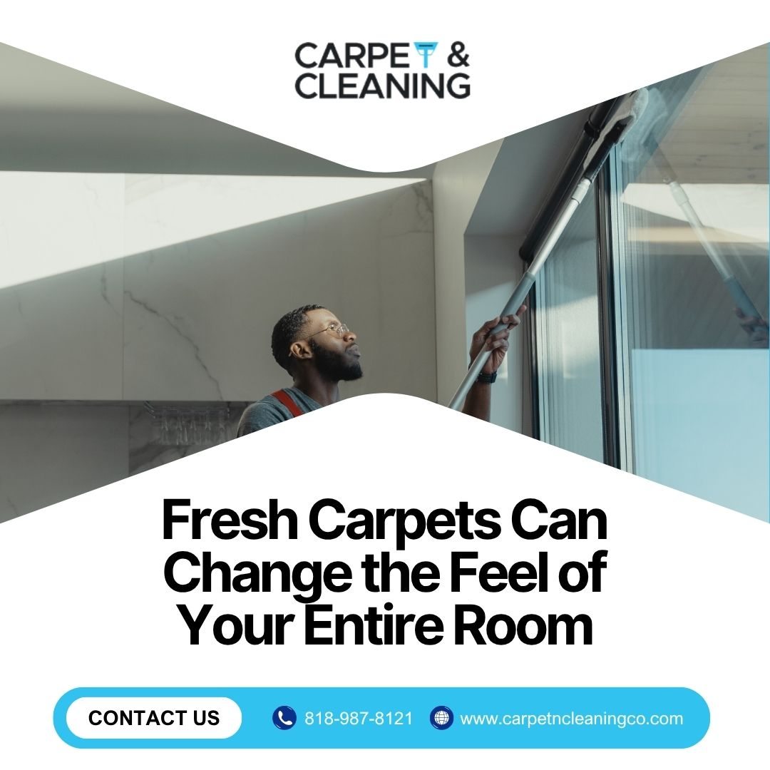  Fresh Carpets Can Change the Feel of Your Entire Room