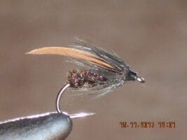   Scud Flies for Trout Fishing | Kenya