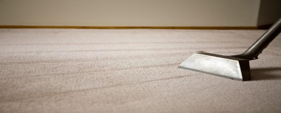  Best Carpet Cleaning Melbourne for Fresher Carpets
