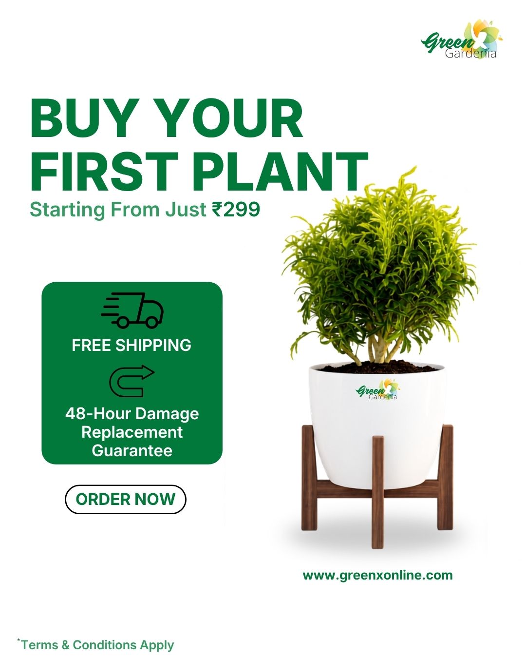  Buy Premium Indoor and Outdoor Plants Online – GreenX Gardenia