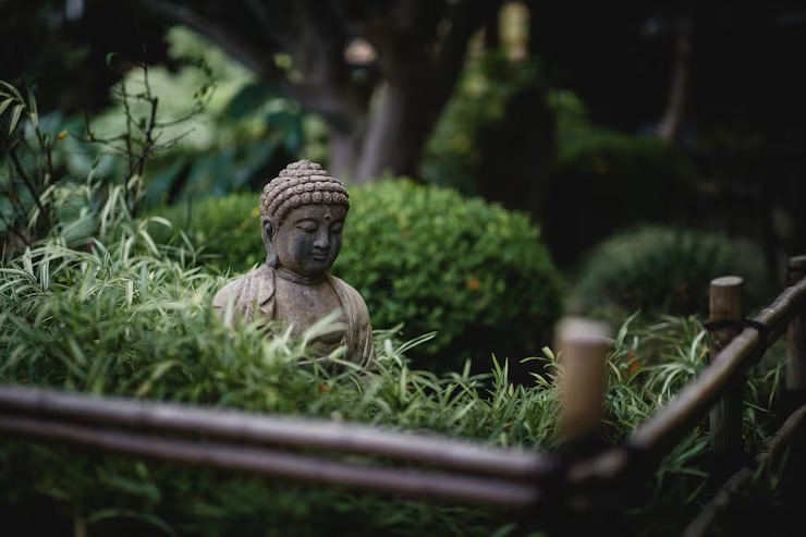  Buddhist Courses Online San Diego: Learn Meditation And Buddhist Philosophy